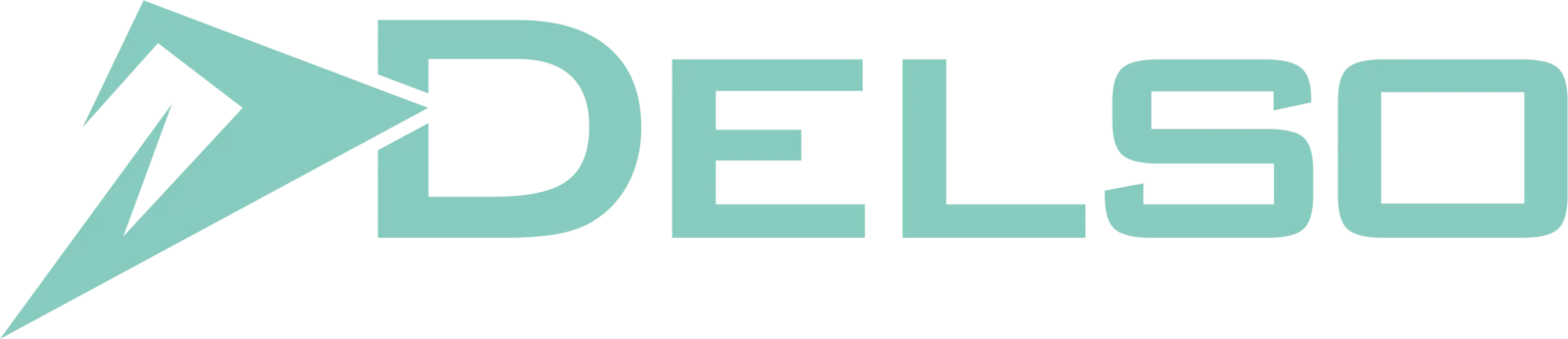 delso_logo_velke_2022-1-1536×332
